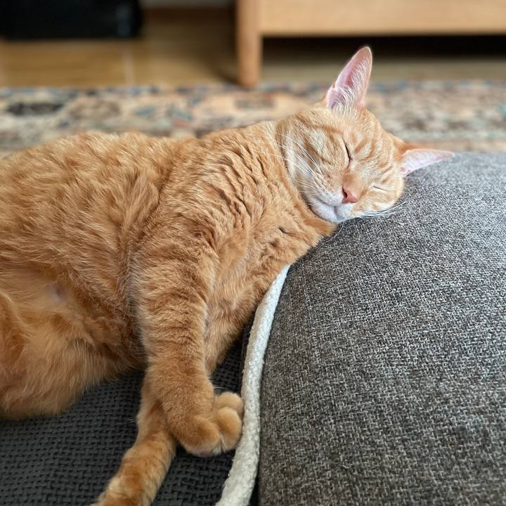 Ab5c4bed 9304 40b3 89a0 e81e2911658f 1762606686212