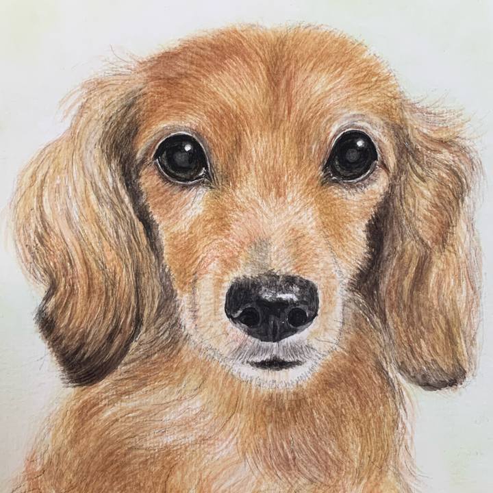 Ab5c566d 7152 442e ae1c 532e80479164 1693029252564