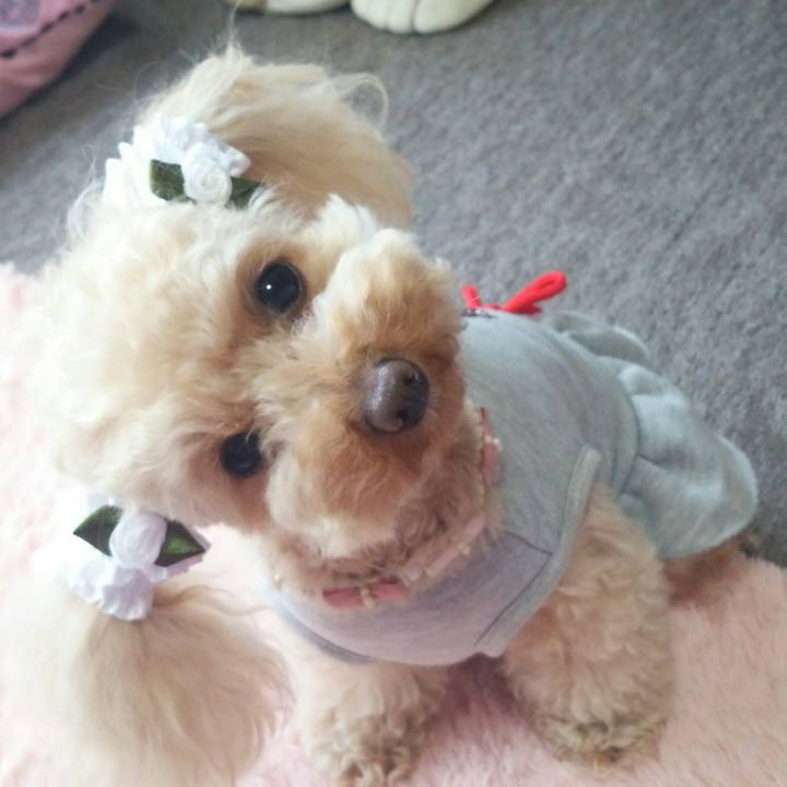 Ab5cab98 5d0a 48cf 9f1f 0212c2f22dd6 1520940754024