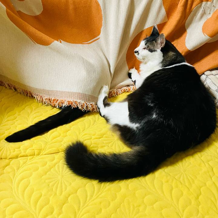 Ab5cd023 675a 4a23 bd20 769b647c352a 1748685218697