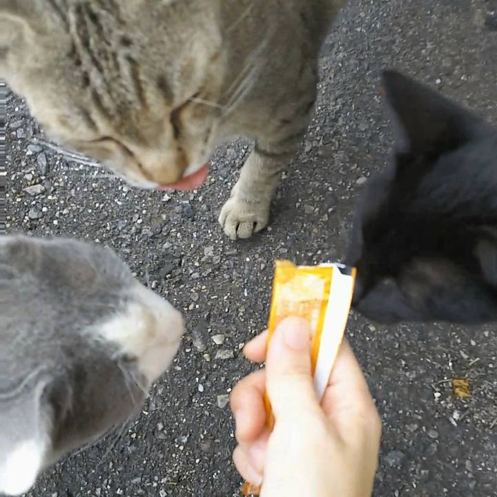 Ab5cd3ca f06d 4f9e 9a0e d16259625b92 1535431799404