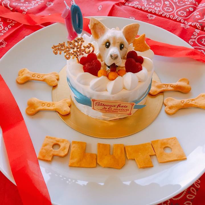 Ab5cd8c4 bc45 49fd 980e c9b33d691876 1518405187204