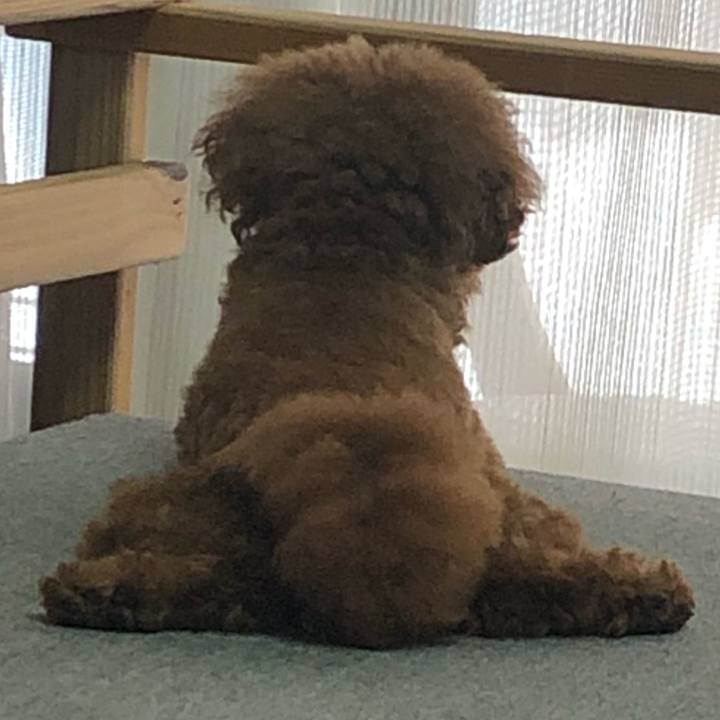 Ab5cfadc 09a9 4981 9173 e4cfdb880b7c 1597104837212