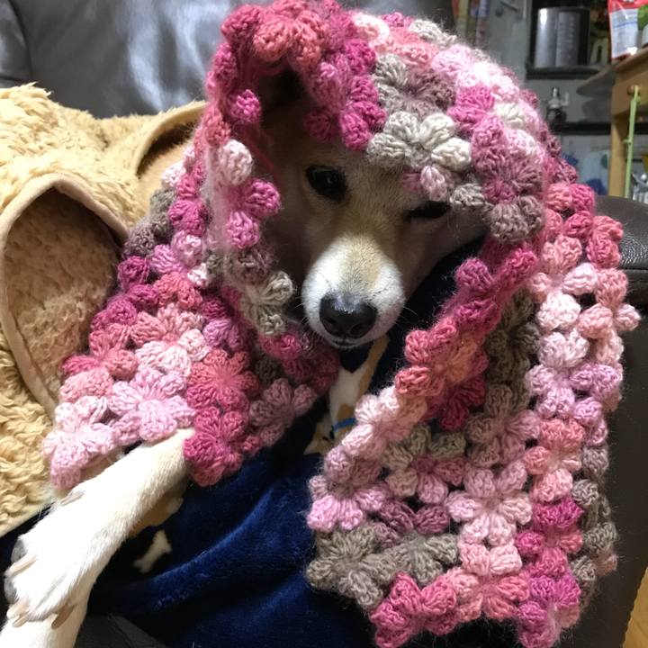 Ab5cfd92 ce4d 44e5 8fcb 7b22b7d33866 1516800446184