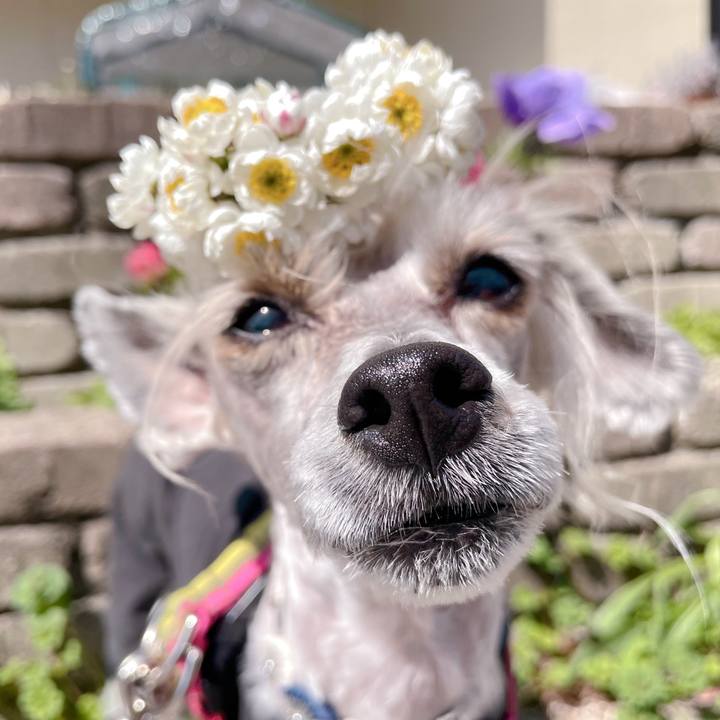 Ab5d15f5 a5c2 4aee 8dc8 cb415098009a 1773638259470