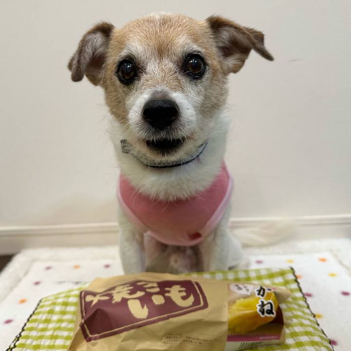 Ab5d21f8 7faa 4510 afea d94dbe8e7082 1689141614610