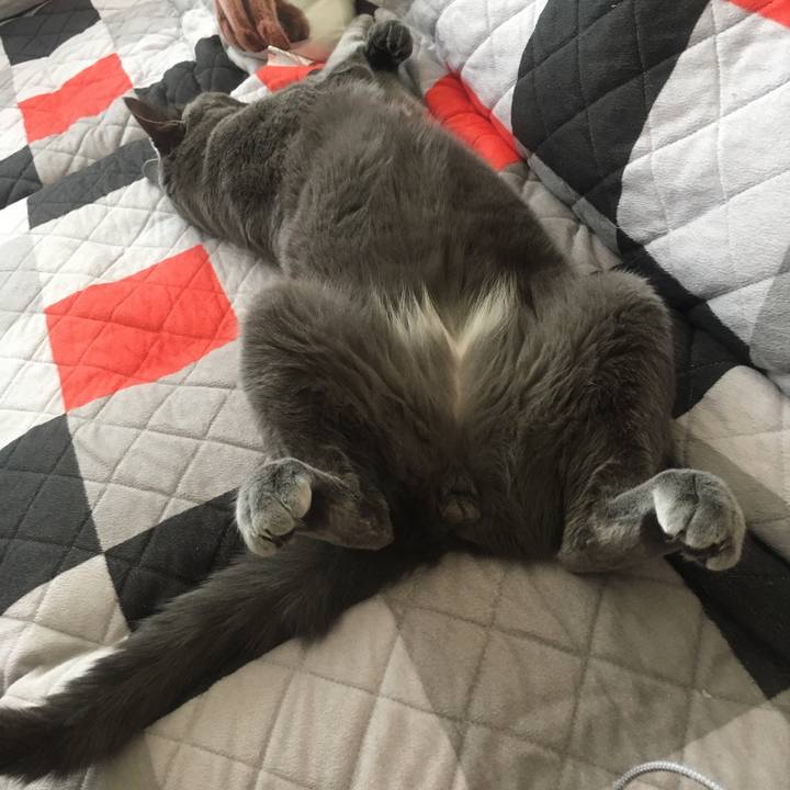 Ab5d24fb 2903 4f7d 9868 5b3f7685b5b8 1635123874383