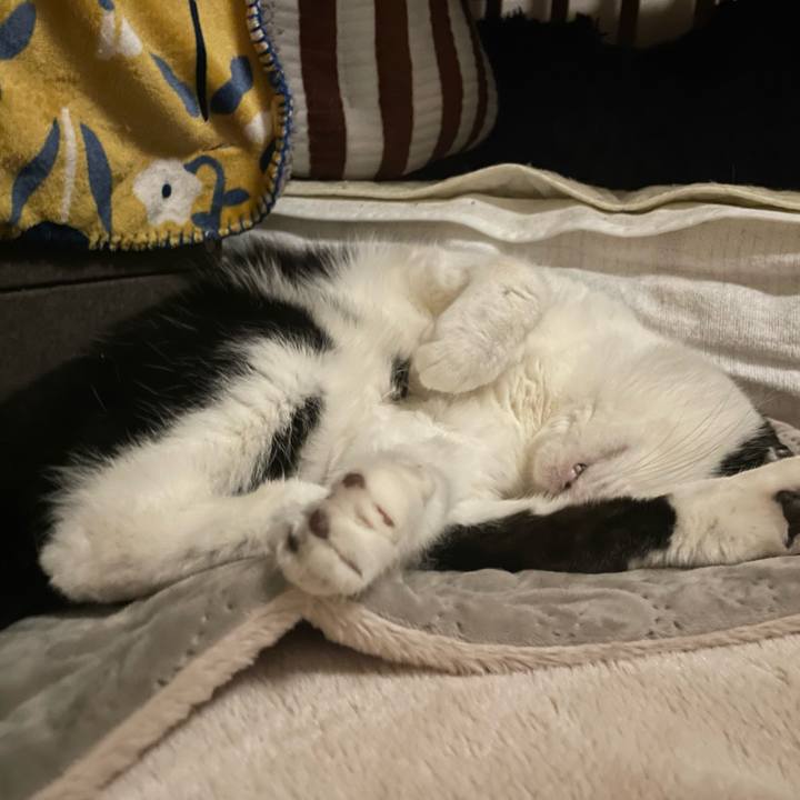 Ab5d45ce e2e8 499f 89af 57e80a31b038 1713369489345