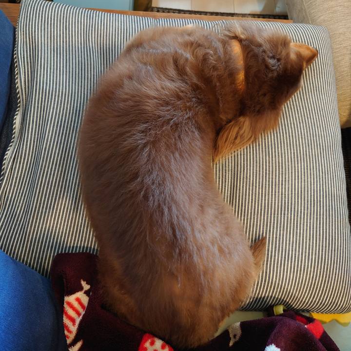 Ab5d8cbe 61cf 42f6 9e7e 8d50725848ff 1664413453189