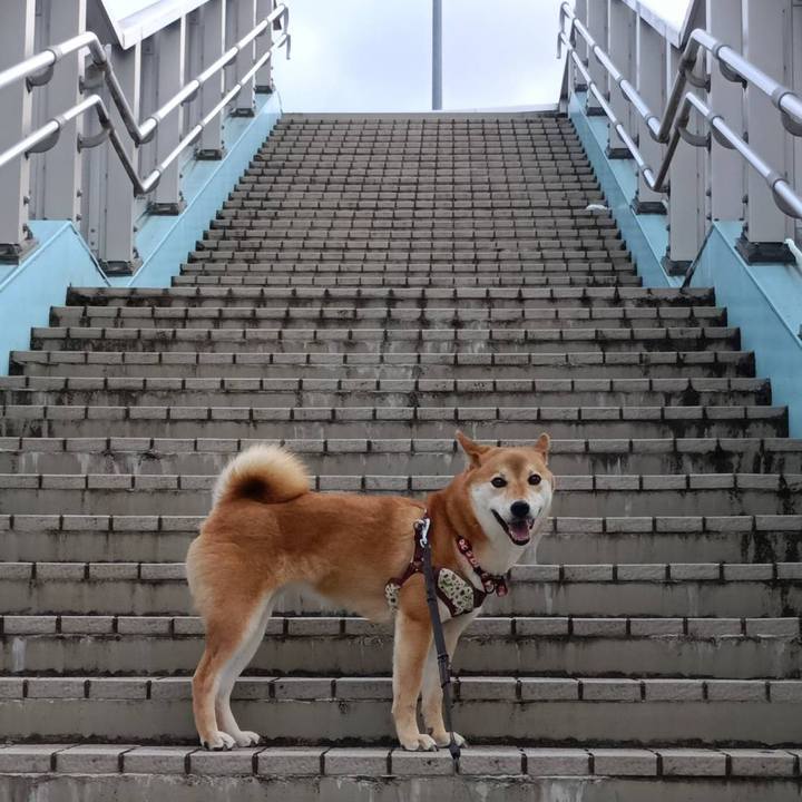 Ab5db419 4a24 4334 91e8 8539171bfb0a 1750464708165