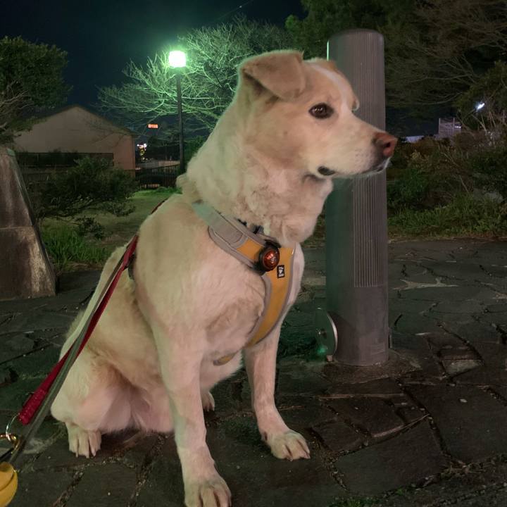 Ab5db51e 1353 4ecb ba24 811e80913d57 1582642262857