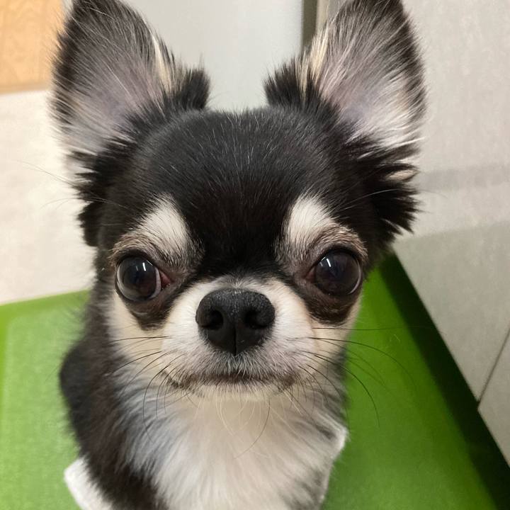 Ab5dba11 ba85 4b1d 99d9 1093eb2ecb69 1618611856199