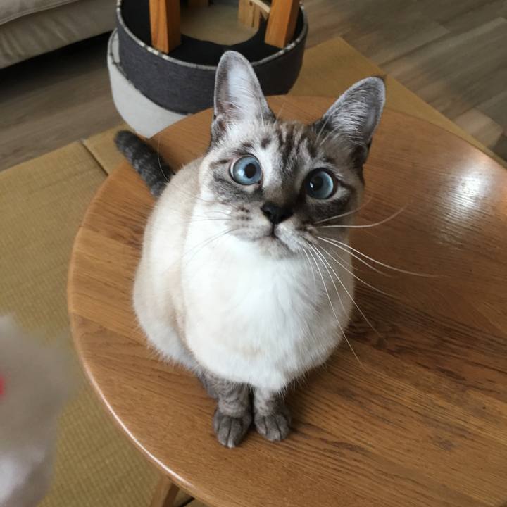 Ab5dbbcb 503c 4d62 b3bf b40e8616ba3e 1574033828646