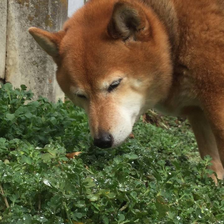 Ab5dcfa6 630f 4ed3 99d8 bc99d19b2619 1581913096132