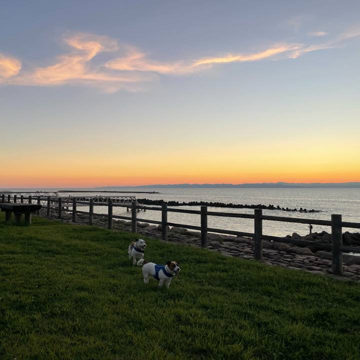 Ab5e0073 acbc 40ca 8350 53f3e128a6e5 1722509214513