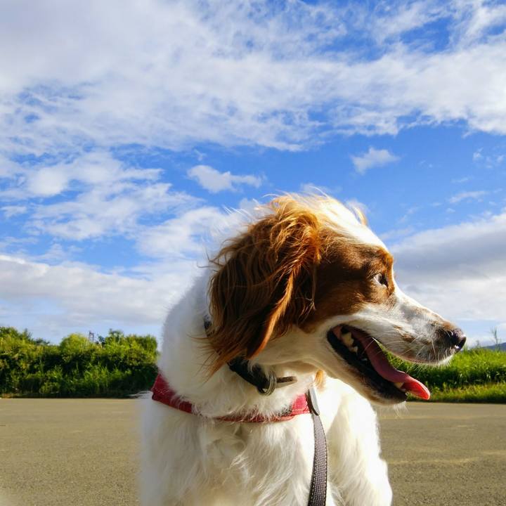 Ab5e0bae 38e8 4fcb 89af c6d9d95f76e9 1534983586641