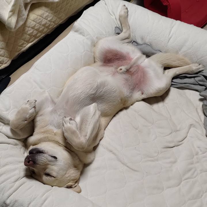 Ab5e347d 025d 426d 8d0a 3a42d1204d1e 1646229913643