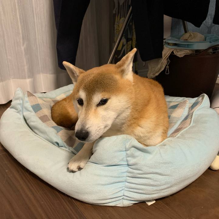 Ab5e352e 0076 4a72 b286 2b59eca9d50d 1618583744316