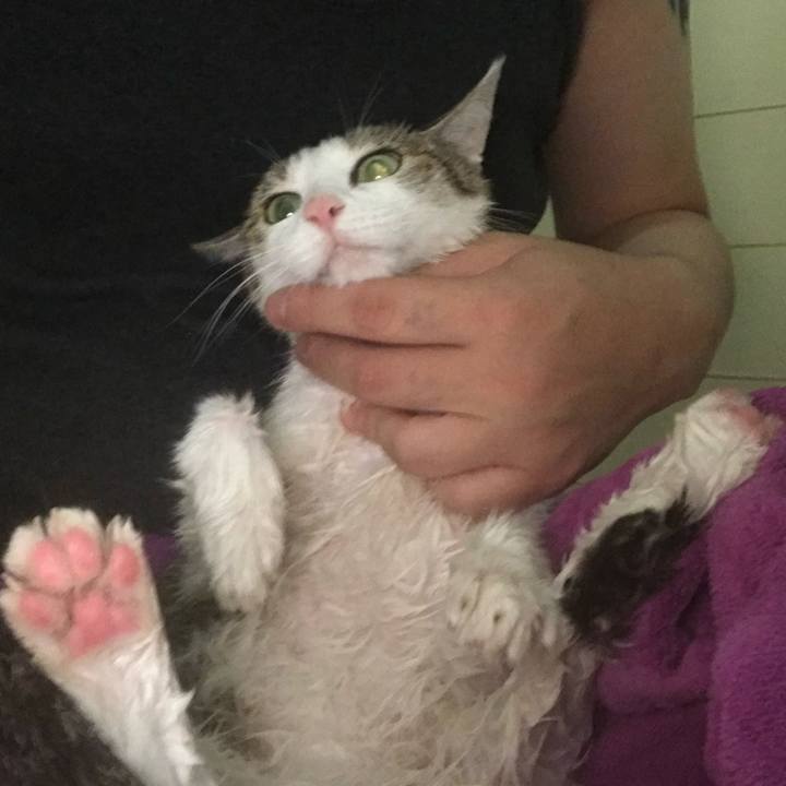 Ab5e8fd0 e265 47c2 b1ce 84dffebdaa7c 1722763640041