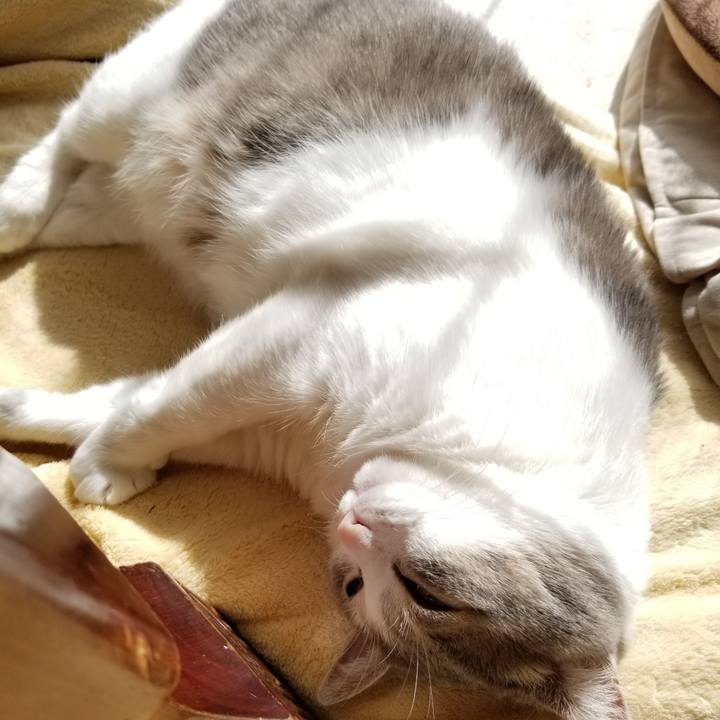 Ab5ea6fd b053 4589 ae11 47bdb0d8ab4b 1615271307776