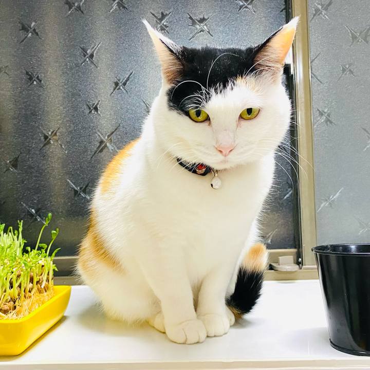 Ab5edece 7dce 4c39 8a77 68cba49b5240 1674639043246