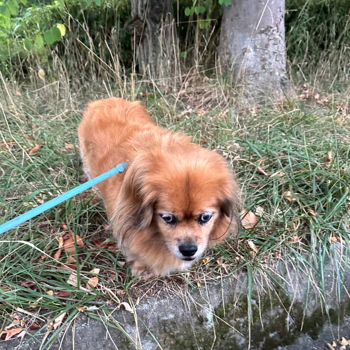 Ab5f2bff 9add 4f1a 8de2 ddd7ddc11753 1756156062258