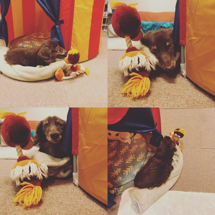 Ab5f4e09 9804 4c15 b04b 84ada4277fd1 1511856480824