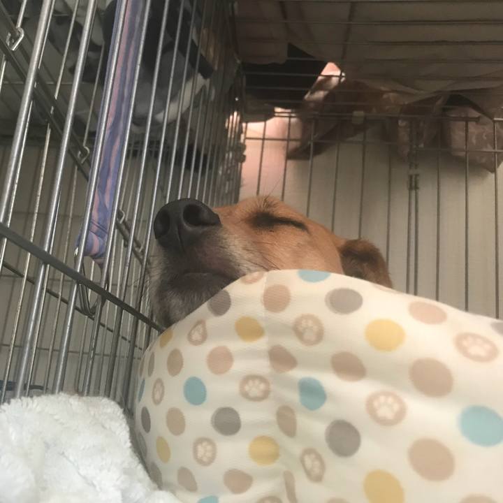 Ab5f8169 9f17 4833 9d74 036caa083e8e 1533189341118