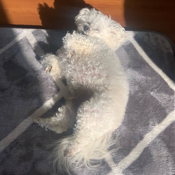 Ab5fcb22 916e 4155 85b8 770168f530cf 1675124792387