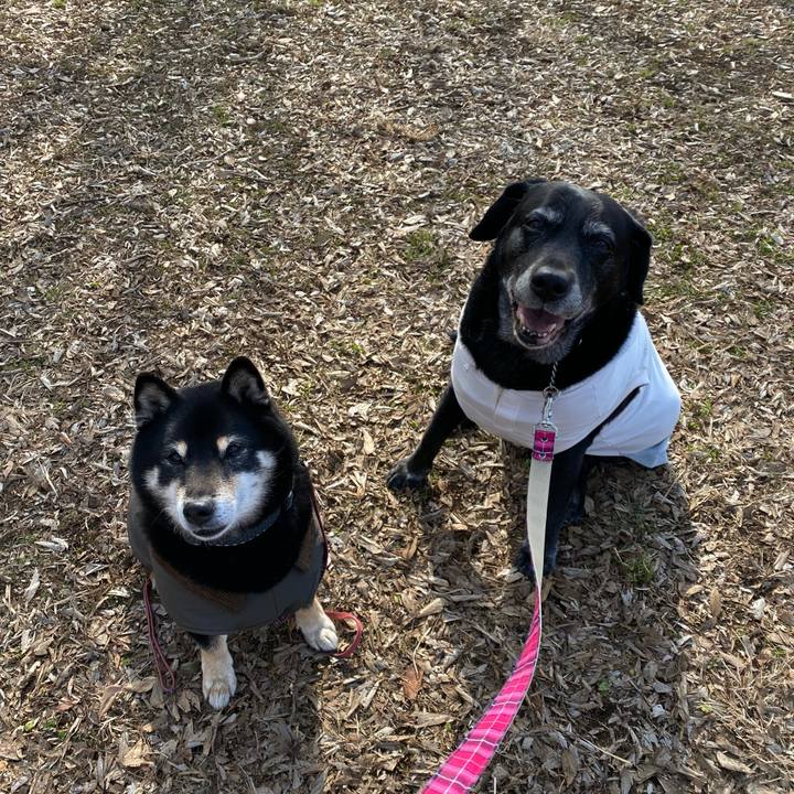 Ab5fe885 3cc6 43d7 86c5 d7958b1bdcba 1643286816008