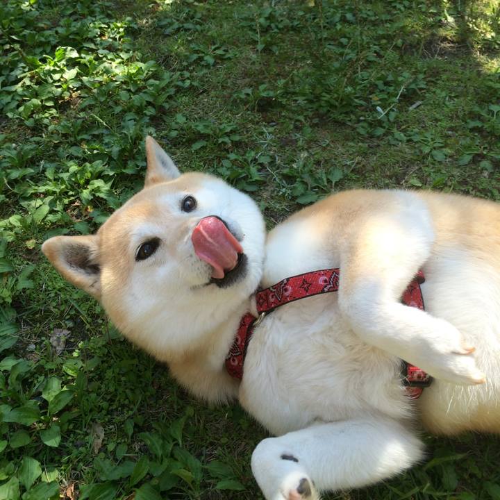 Ab5ffdba dcdf 46f5 bcd1 61ae7be77c7f 1763963722638