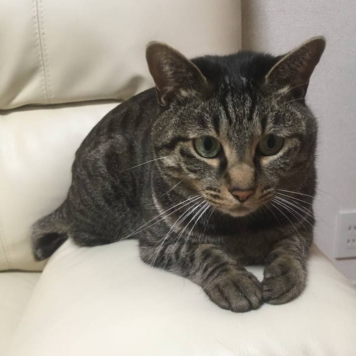 Ab600a55 cd60 4896 a0b7 034d6f433c28 1556588885096