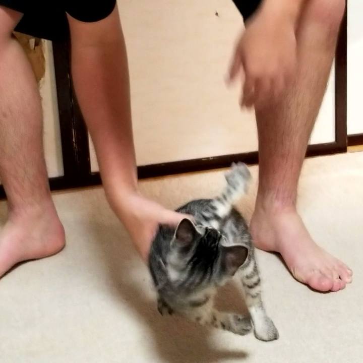 Ab60b5f9 9393 4f7d 9d49 072fa4837387 1664796125884