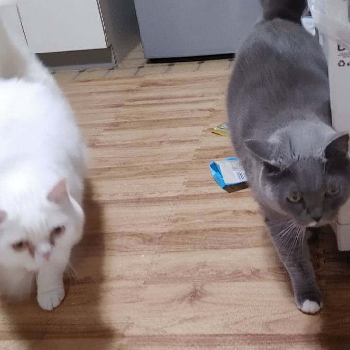 Ab60be62 ee5f 4855 a315 ba9dee716c8f 1666091928372