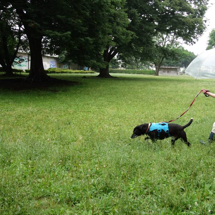 Ab611886 2ee4 4e3d b92f 16ac335d407a 1749513400868