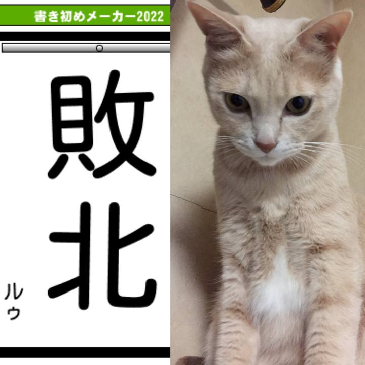 Ab614da3 d064 4156 89e4 a69fa2065e08 1641271380607