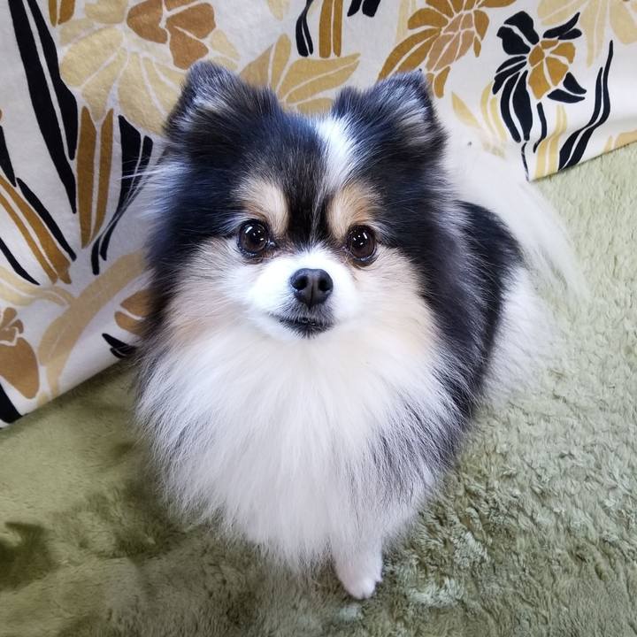 Ab61a69a b781 441a ba5f 5359c16608ad 1583968510198