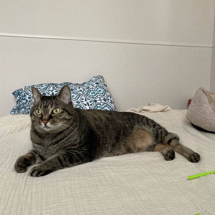 Ab61ab23 c598 4b60 830e d5cda968b3d6 1749871865686