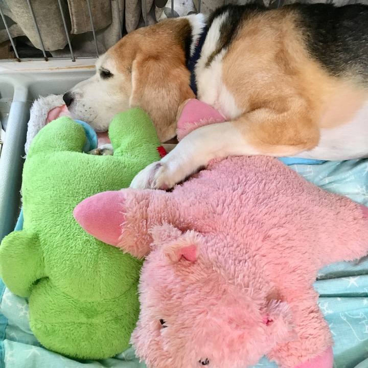 Ab61bdda e010 4801 adad e7deac8f9262 1567395650908