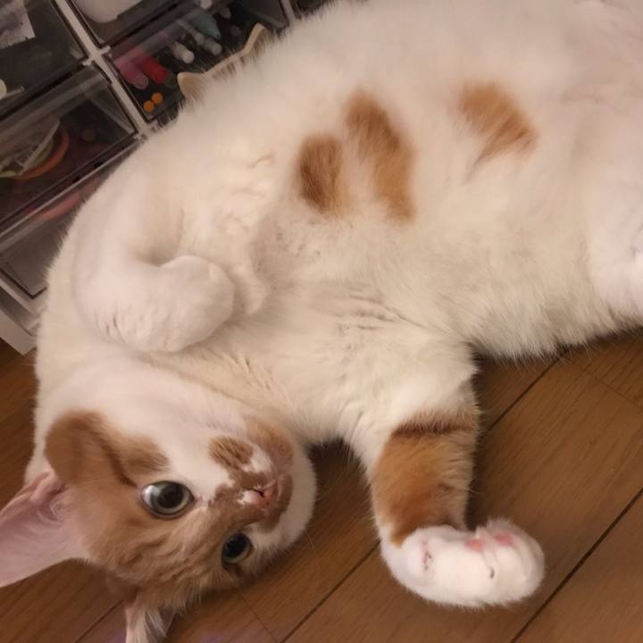 Ab61c20b 76fb 4ca0 b89a 3175d110e19f 1581396334331