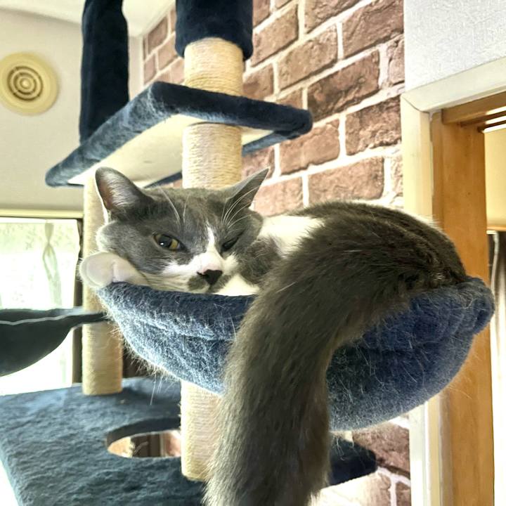 Ab61f7bb 50e4 43ce bdac 41fb69366b42 1659599557806