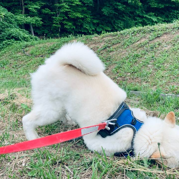 Ab6202a2 3727 4774 88b2 96efe9795f54 1624051402640