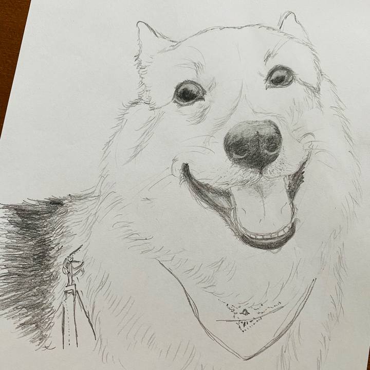 Ab621a26 9b64 48f0 932e 84c03af675e5 1592802214084