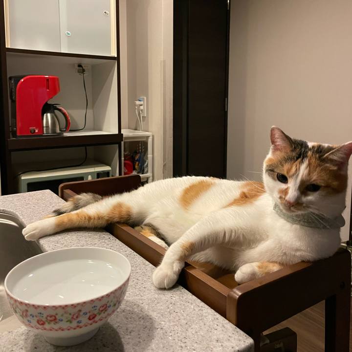 Ab622094 6a78 4d0b 88e6 0f96845bd3c2 1669038124799