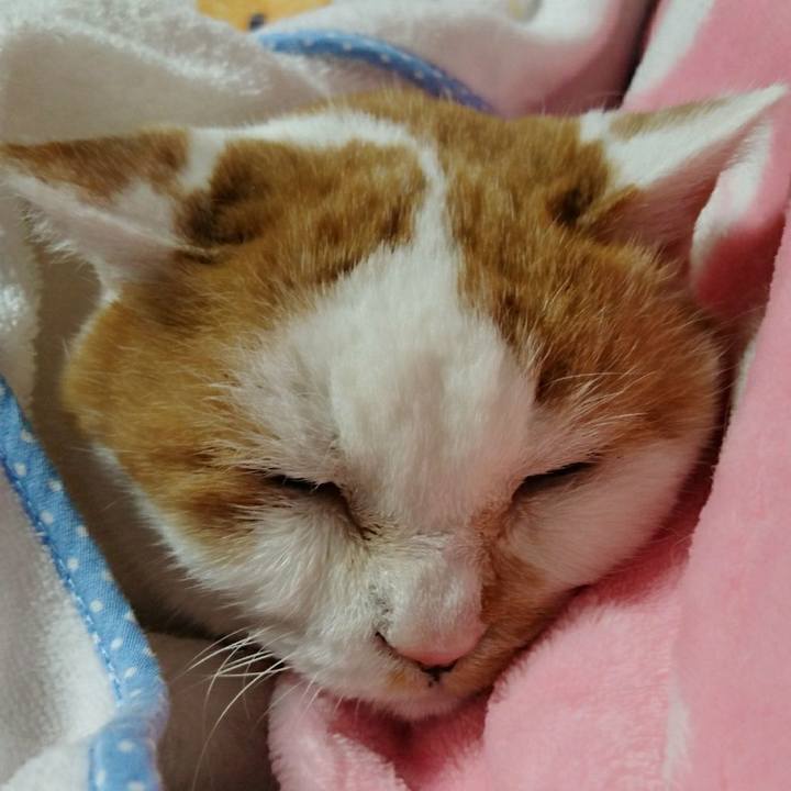 Ab625726 7fff 4de2 bb93 ded4cce674e9 1556542566357