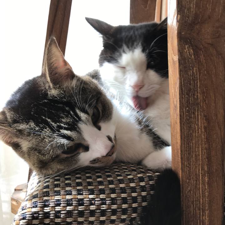 Ab625b15 481d 438a 8751 0b2efce18cb4 1520931178736