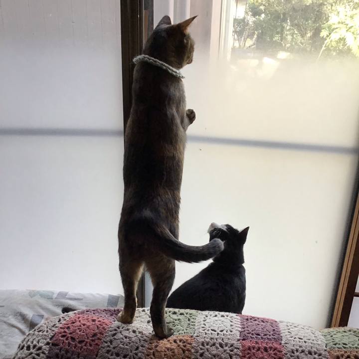 Ab626ad3 5ab6 4c09 a9dd 1f35b7d0066a 1646641438386