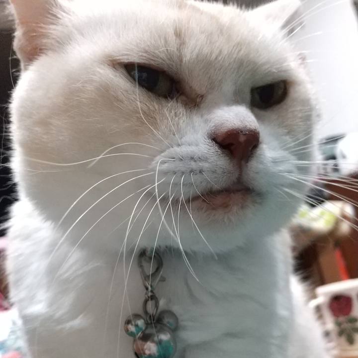 Ab6285c1 208f 40ec 98b7 41a3eea1dbf5 1603286905372