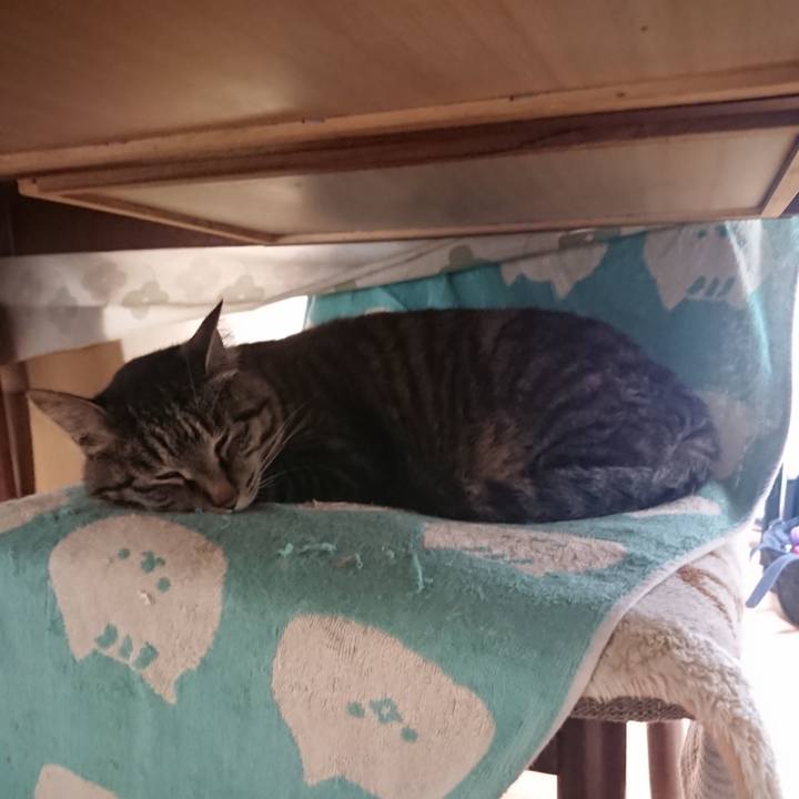 Ab62c34f ff51 4ae1 bf9c 306314a1a7bf 1655072057075