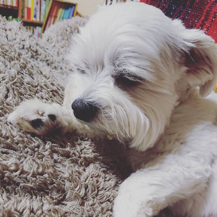 Ab62cdc4 9403 472b 9b22 42ed7ec16a80 1569486352973